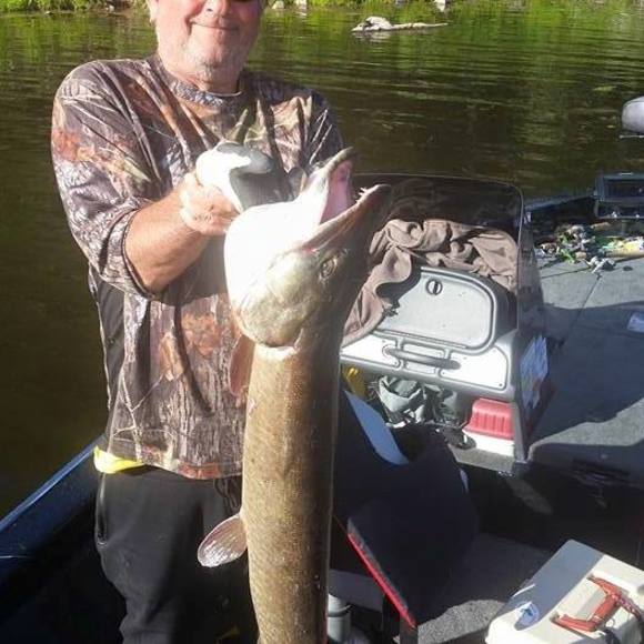 Meet your Posher, Tom - Picture 1 of 1